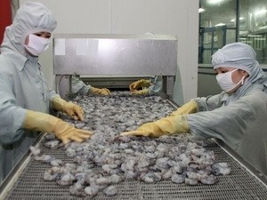 Phái đoàn Ngoại giao Việt Nam và Trung tâm Tư vấn luật WTO tổ chức hội thảo - ảnh 1