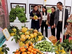 “Hội hoa-chợ Tết tôn vinh làng nghề và hàng nông sản chất lượng cao” - ảnh 1