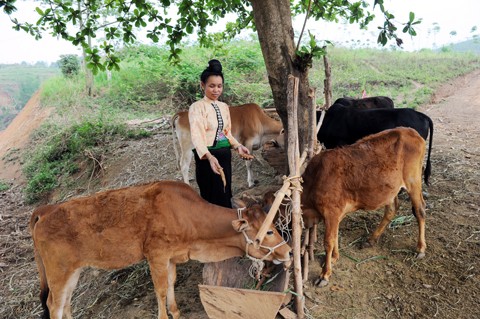  Đầu tư trọng điểm phát triển kinh tế - xã hội vùng dân tộc, miền núi - ảnh 1