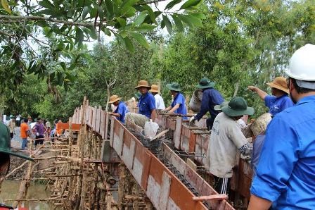 Nhiều hoạt động tình nguyện thiết thực vì đất nước - ảnh 3