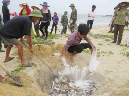 Bảo vệ môi trường chính là đầu tư cho phát triển bền vững  - ảnh 1