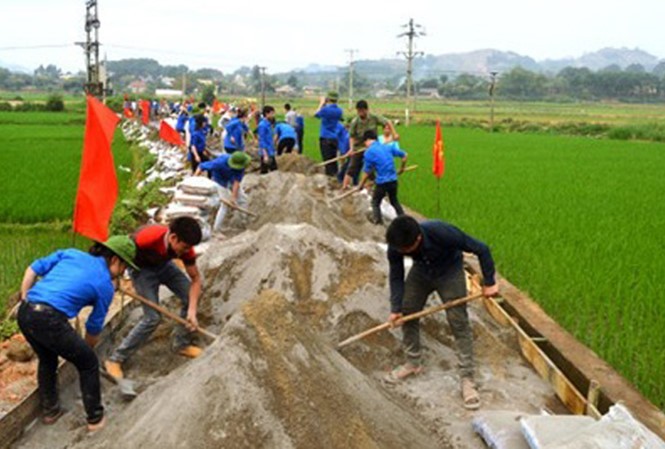 Tuổi trẻ Việt Nam với Mùa hè tình nguyện - ảnh 2