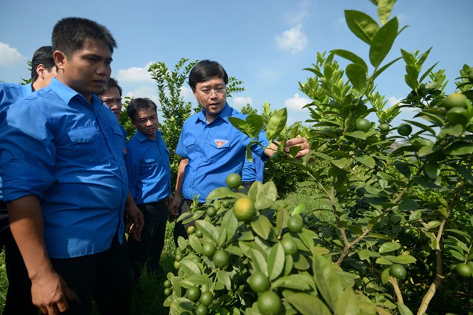 Khơi dậy tinh thần khởi nghiệp, lập nghiệp và tình nguyện của tuổi trẻ - ảnh 2