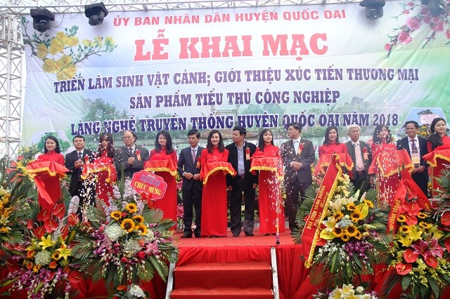 Tinh hoa nghệ thuật cây cảnh Việt Nam - ảnh 1