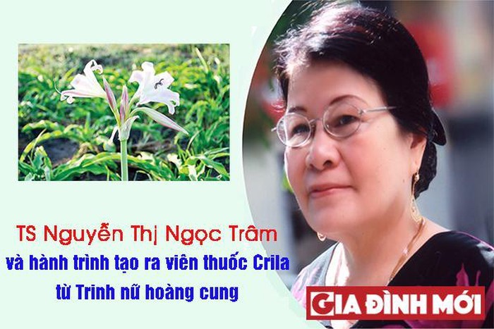 Người phụ nữ tìm ra cây thuốc quý - ảnh 1