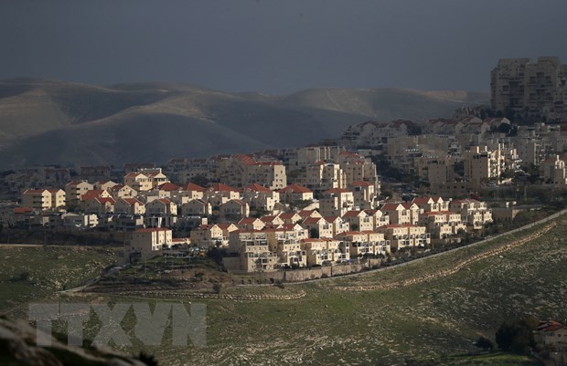 Hội đồng Bảo an thảo luận tình hình tại lãnh thổ Palestine bị Israel chiếm đóng - ảnh 1