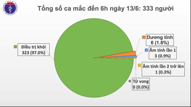 Việt Nam còn 6 bệnh nhân dương tính với virus SARS-CoV-2 - ảnh 1