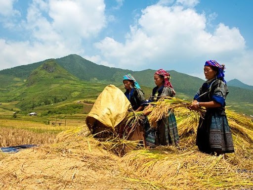 Tổng kết 5 năm Chương trình phát triển thương mại miền núi, vùng sâu vùng xa và hải đảo - ảnh 1