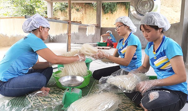 Nhiều mô hình khởi nghiệp “xanh” thành công  từ Đề án hỗ trợ phụ nữ khởi nghiệp  - ảnh 2