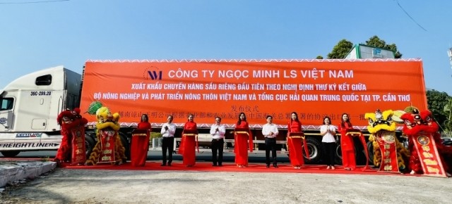 Cần Thơ xuất khẩu chuyến hàng sầu riêng chính ngạch đầu tiên sang Trung Quốc - ảnh 1