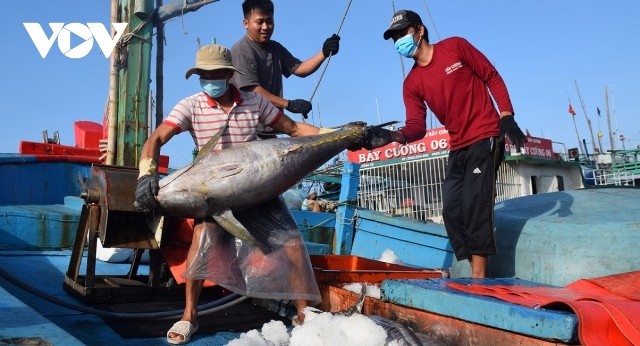 Nhật Bản là nước nhập khẩu lớn nhất hàng thủy sản Việt Nam  - ảnh 1