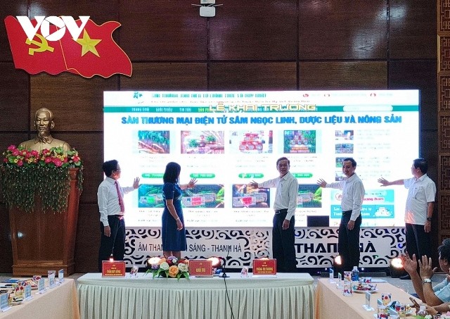 Đưa sâm Ngọc Linh trên sàn thương mại điện tử - ảnh 1