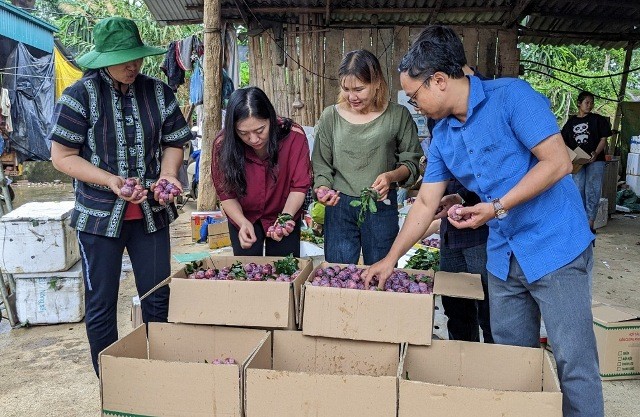 Mận hậu Sơn La tiếp tục có mặt trên các chuyến bay đi khắp thế giới - ảnh 1