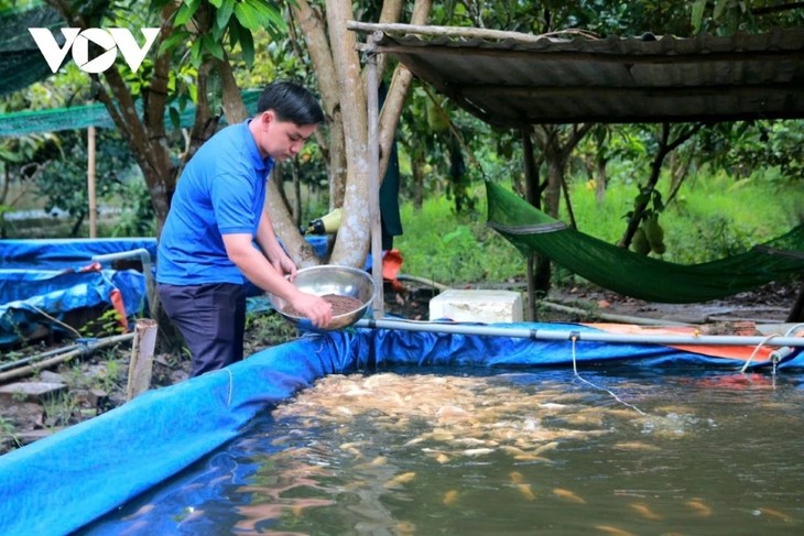 Nguyễn Trí Thức – Chàng thanh niên ở Hậu Giang làm giàu nuôi cá tai tượng da beo - ảnh 1