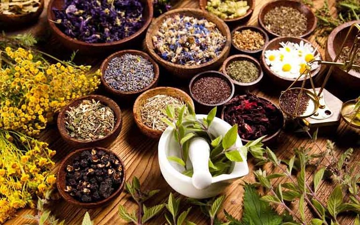 Phòng ngừa và điều trị sốt xuất huyết - ảnh 1