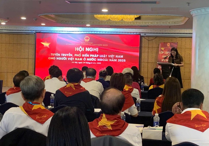 Tuyên truyền, phổ biến pháp luật cho người Việt Nam ở nước ngoài - ảnh 2