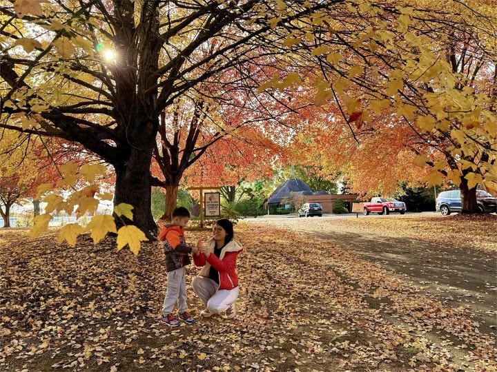 Quê hương chính là động lực để tôi luôn phấn đấu - ảnh 3