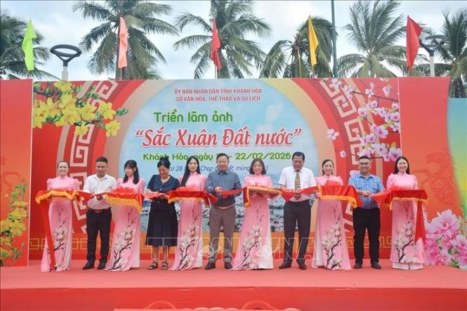 Giới thiệu những hình ảnh tiêu biểu về mùa Xuân trên phố biển - ảnh 1