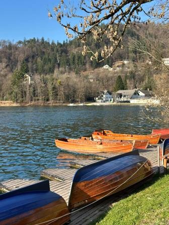 Du học để khám phá thế giới và góp sức cho quê hương - ảnh 3