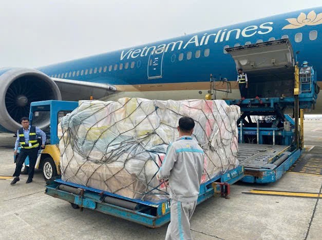 Vietnam Airlines доставила около 30 тонн гумпомощи в Мьянму - ảnh 1