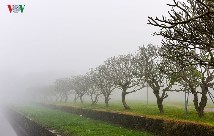 Breathtaking scenery of ancient Hue amid fog in late winter - ảnh 4