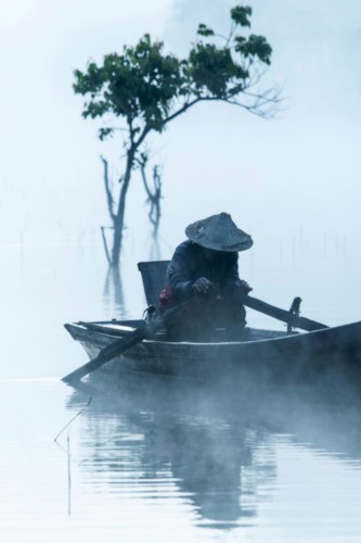 Amazing photos of “Lonely Trees” in Vietnam - ảnh 4