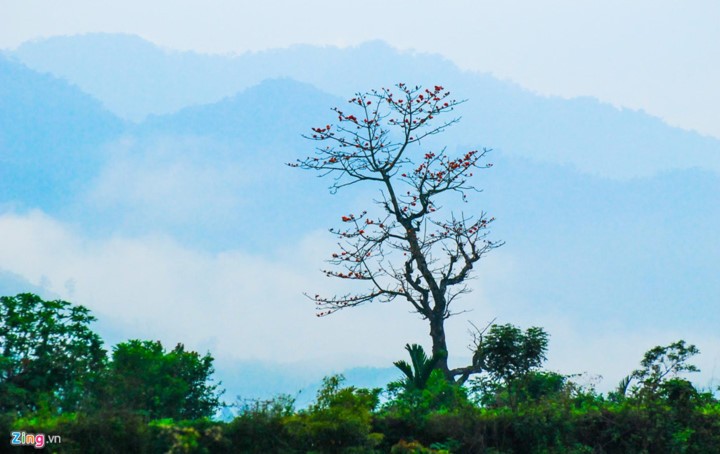 Truong Son Dong mountain range – ideal place for cloud hunters - ảnh 8