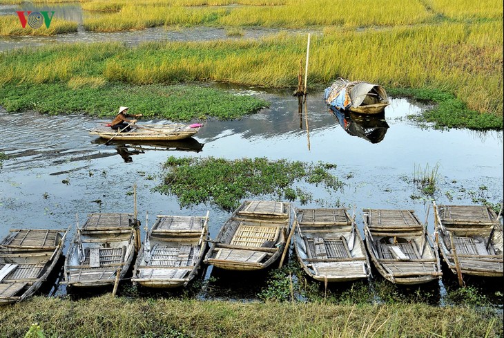 Khám phá vẻ đẹp Vân Long- Khu Bảo tồn được trao bằng công nhận khu Ramsar thứ 9 của Vệt Nam - ảnh 7