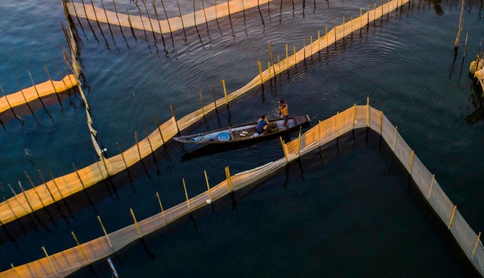 Discovering magnificent sunrise of Chuon lagoon in Thua Thien Hue - ảnh 2