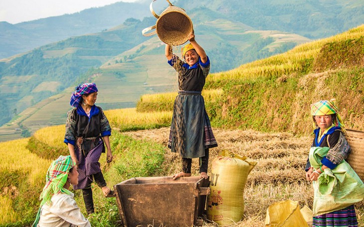 Thu rồi, xách xe lên Hà Giang thôi - ảnh 1