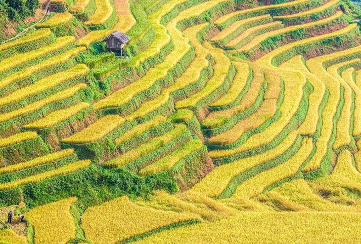 Thu rồi, xách xe lên Hà Giang thôi - ảnh 2