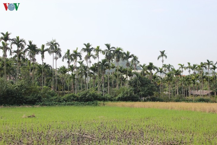 Một ngày trải nghiệm du lịch cộng đồng ở làng quê Yên Đức, Quảng Ninh - ảnh 6