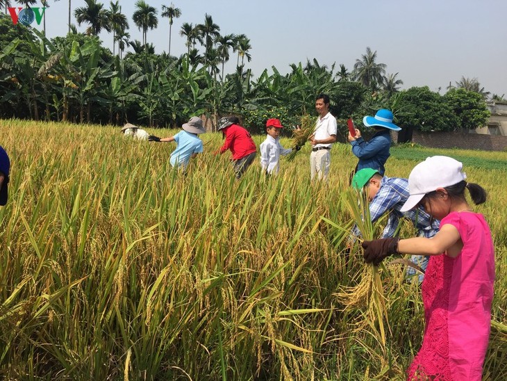 Một ngày trải nghiệm du lịch cộng đồng ở làng quê Yên Đức, Quảng Ninh - ảnh 14