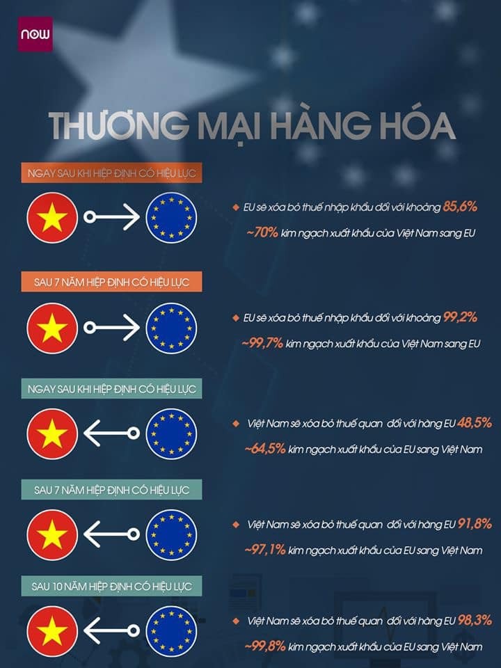 Những nội dung chính của hiệp định EVFTA và EVIPA - ảnh 7