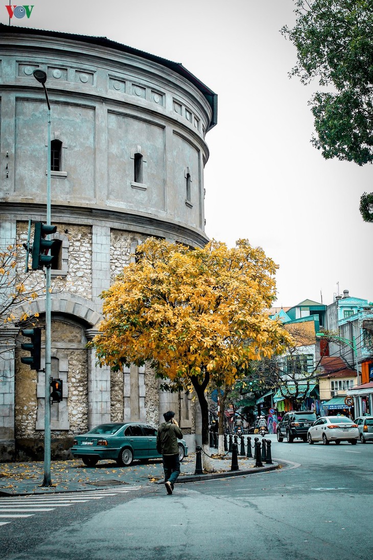 Ngắm Hà Nội đẹp lãng mạn vào mùa cây thay lá - ảnh 10