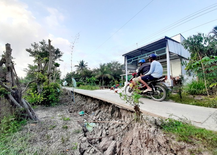 Ảnh: Hạn hán tàn phá Đất mũi Cà Mau - ảnh 10