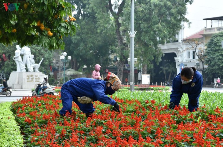 Hà Nội những ngày chống dịch: Phố vẫn xanh và hoa vẫn khoe sắc, tỏa hương... - ảnh 14