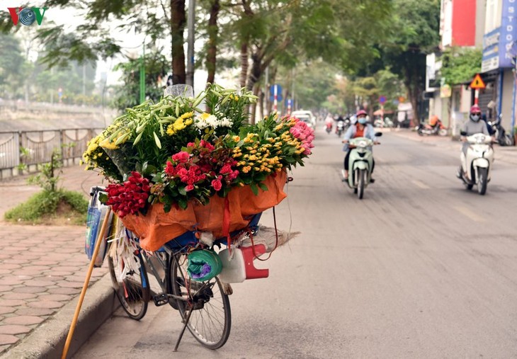 Hà Nội những ngày chống dịch: Phố vẫn xanh và hoa vẫn khoe sắc, tỏa hương... - ảnh 5