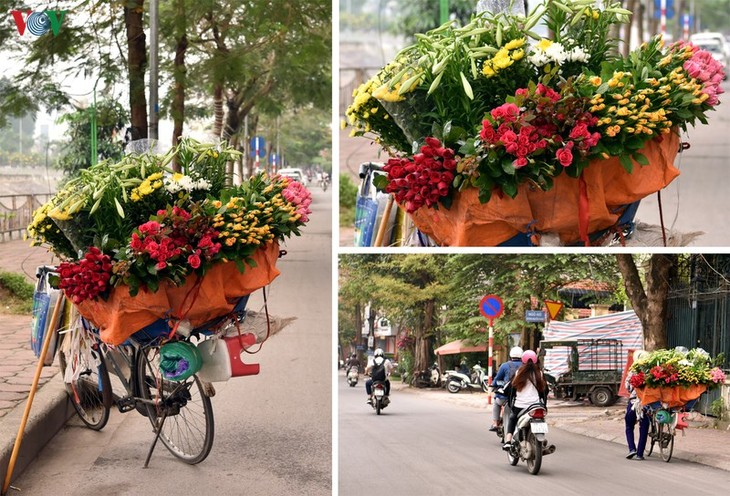 Hà Nội những ngày chống dịch: Phố vẫn xanh và hoa vẫn khoe sắc, tỏa hương... - ảnh 6