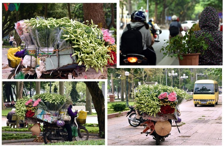 Hà Nội những ngày chống dịch: Phố vẫn xanh và hoa vẫn khoe sắc, tỏa hương... - ảnh 8