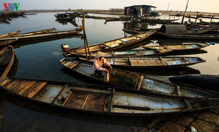 Đầm Chuồn hoang sơ, yên bình của xứ Huế mộng mơ - ảnh 12