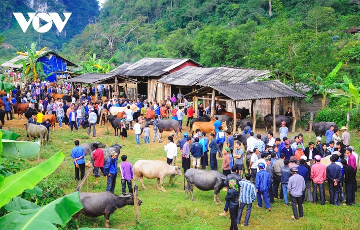  Cao nguyên đá Hà Giang đẹp ngỡ ngàng trong tiết thu - ảnh 12