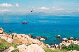 Pesca en el mar: Nueva actividad turistica en Nha Trang - ảnh 1