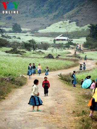 Etnicos Mong en Moc Chau saludan la llegada de la primavera - ảnh 3