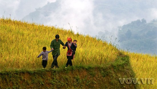 Supervisan en Vietnam entrega de tierras a compatriotas étnicos - ảnh 1