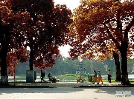 Hanoi en los ojos de turistas extranjeros - ảnh 2