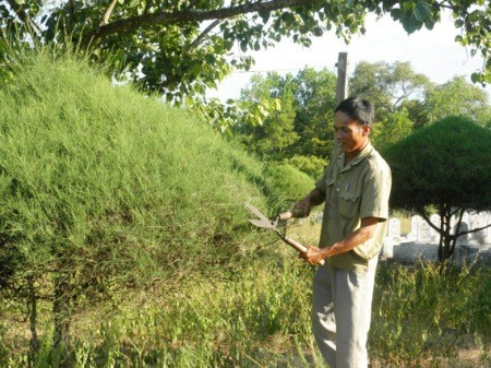 Ho Xuan Thanh, el guardia de cementerio de mártires por la Patria - ảnh 1