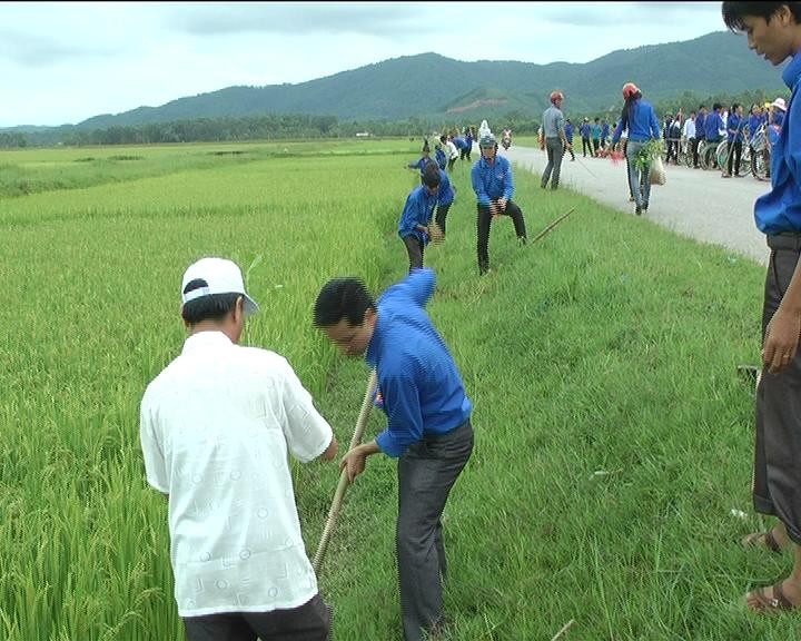 Vietnam reponde a la Campaña Para un mundo más limpio en 2012 - ảnh 1