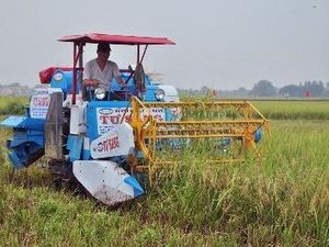 Destacan en Asia-Pacífico importancia de las estadísticas de agricultura - ảnh 1