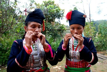 Luong Thi Vinh, una talentosa instrumentista del Noroeste de Vietnam - ảnh 2